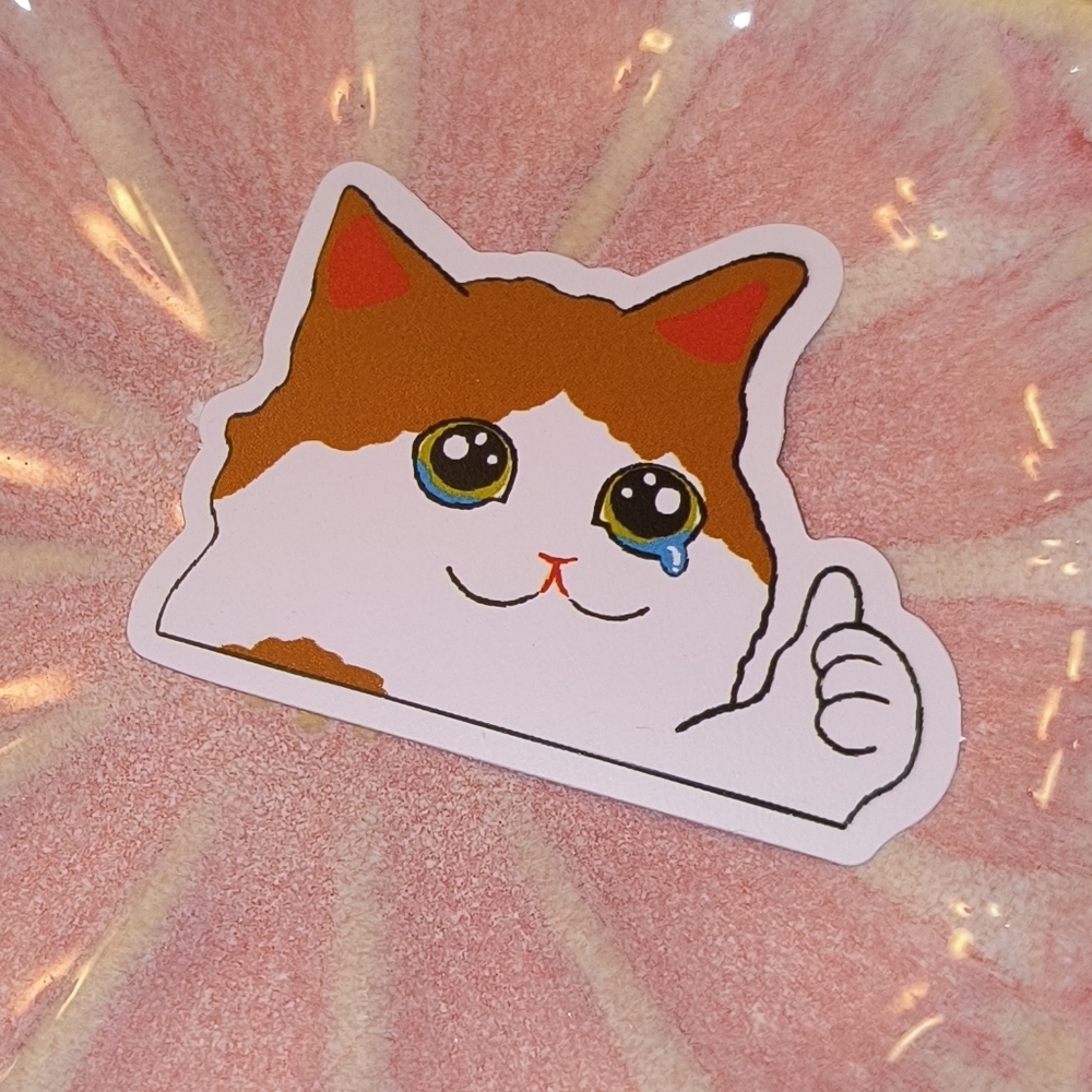 5/$10 brown white proud cat giving thumbs up for laptop phone car mirror cup mug